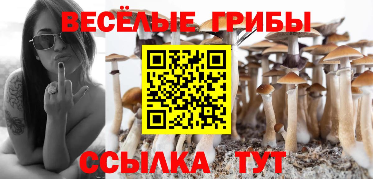 Галлюциногенные грибы Psilocybine cubensis Гуково